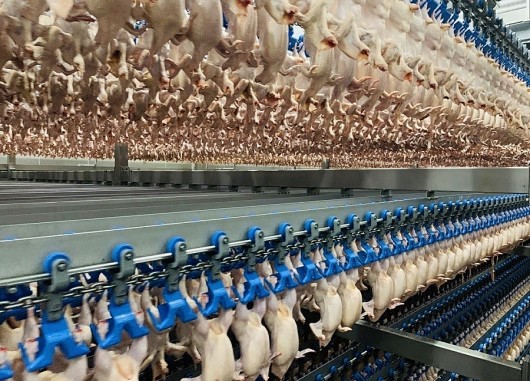 Nông sản Việt Nam đang chiếm ưu thế tại các siêu thị Nhật Bản