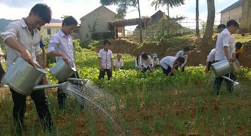 Học sinh Trường THCS dân tộc bán trú Tri Lễ chăm sóc vườn rau sau giờ học. Ảnh: Xuân Hòa