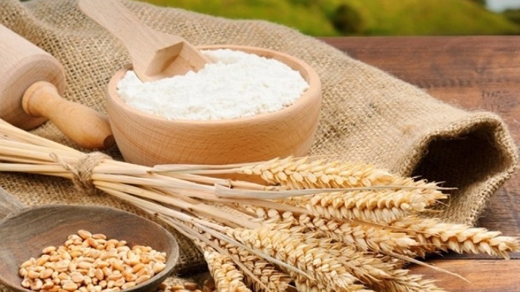Nhập khẩu lúa mì giảm về lượng, tăng kim ngạch