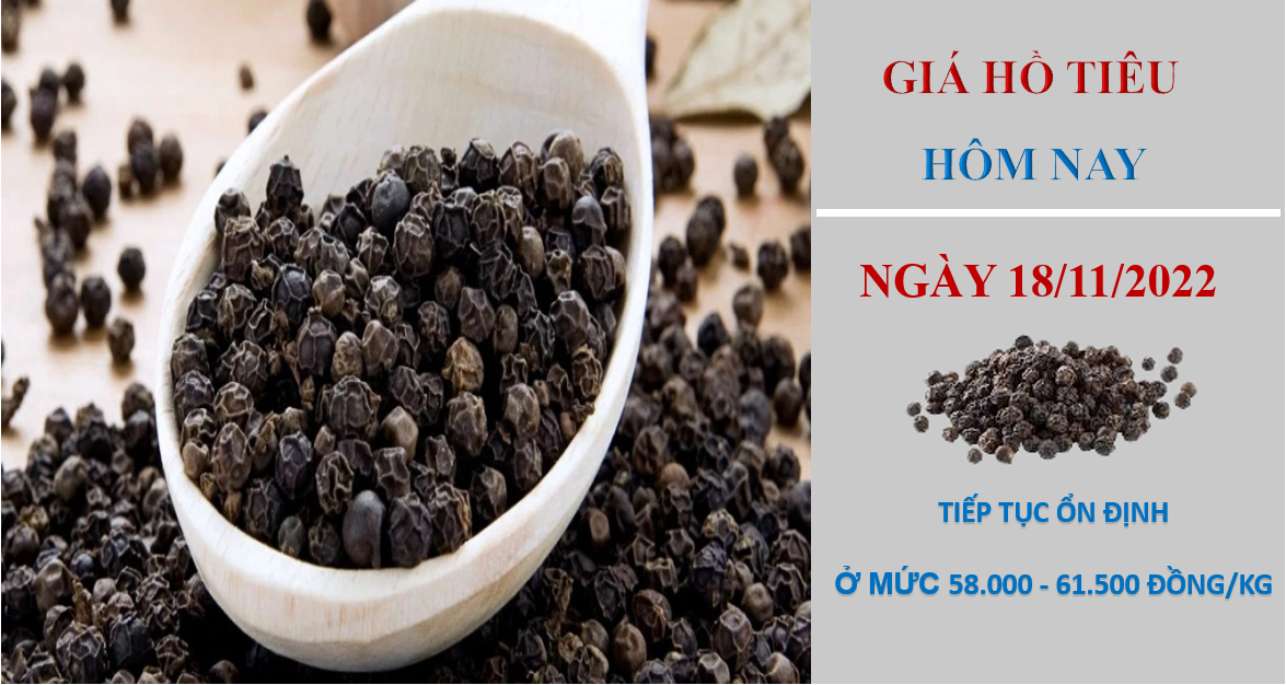 Giá hồ tiêu hôm nay 18/11/2022: Nối tiếp chuỗi ngày ổn định