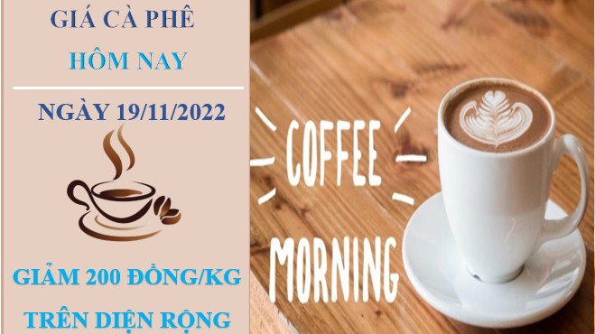 Giá cà phê hôm nay 19/11/2022: Quay đầu giảm 200 đồng/kg