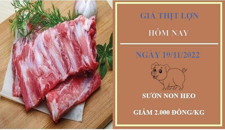 Giá thịt heo hôm nay 19/11/2022: Giảm 2.000 đồng/kg tại Công ty Thực phẩm bán lẻ