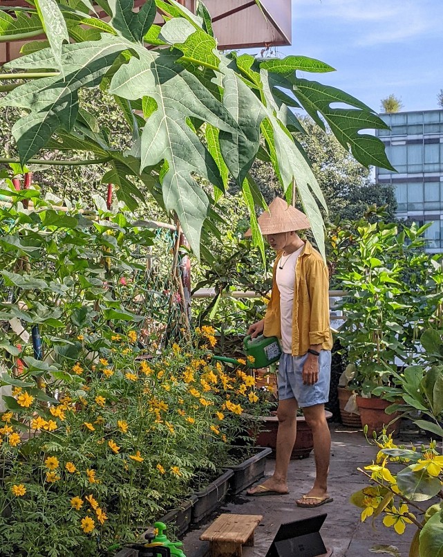 Chàng kiến trúc sư biến sân thượng thành vườn rau quả hữu cơ ai nhìn cũng mê
