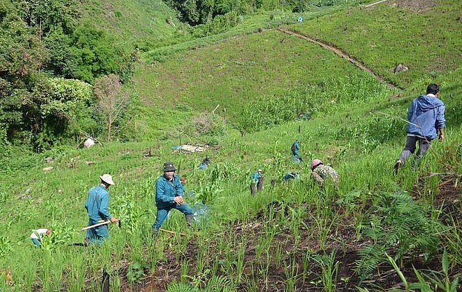 Người dân huyện Tu Mơ Rông trồng rừng trên diện tích đất trống.