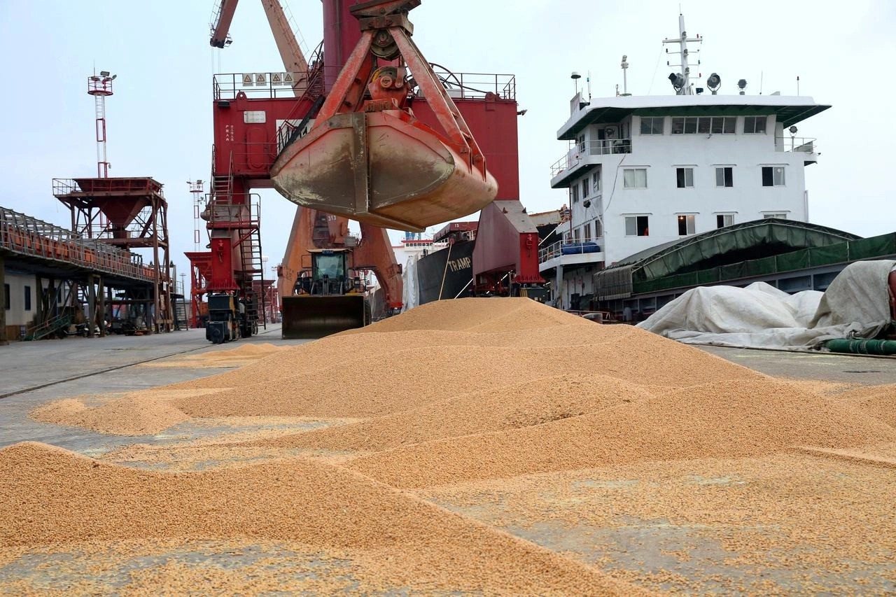 nhập khẩu đậu tương năm 2022 của Trung Quốc là 73,2 triệu tấn
