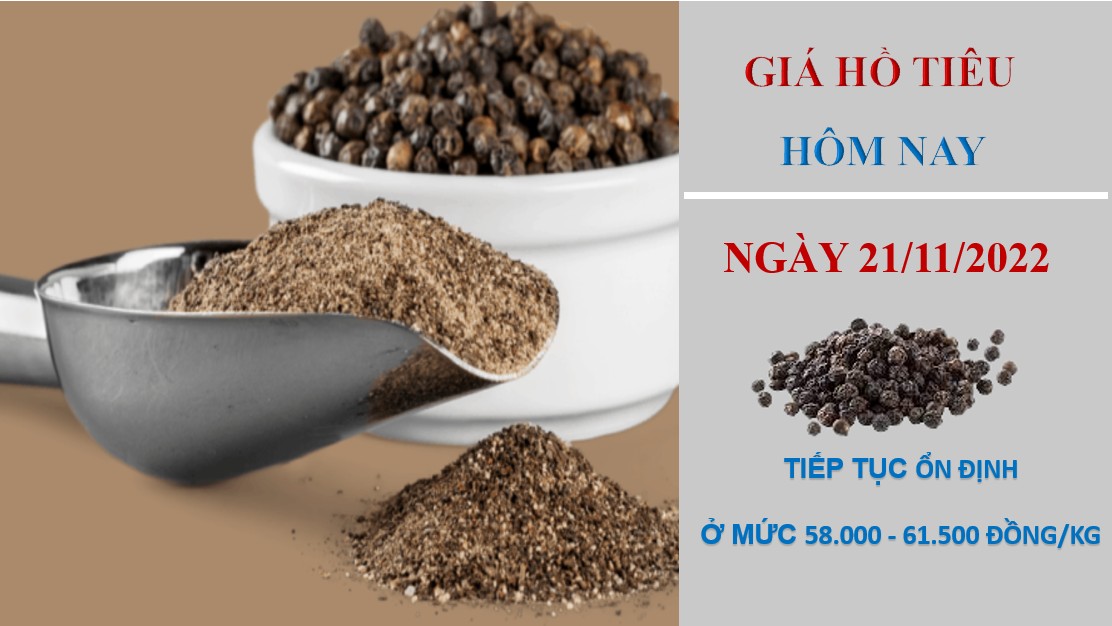 Giá hồ tiêu hôm nay 21/11/2022: Tiếp tục chuỗi ngày ổn định