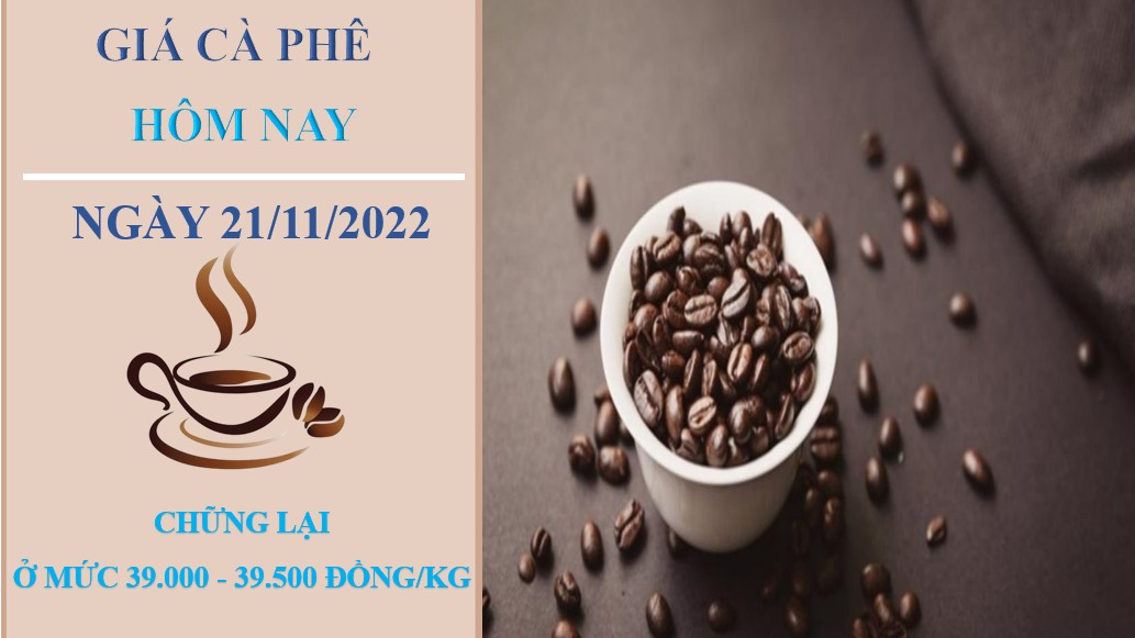 Giá cà phê hôm nay 21/11/2022: Tiếp tục đứng yên tại ba miền