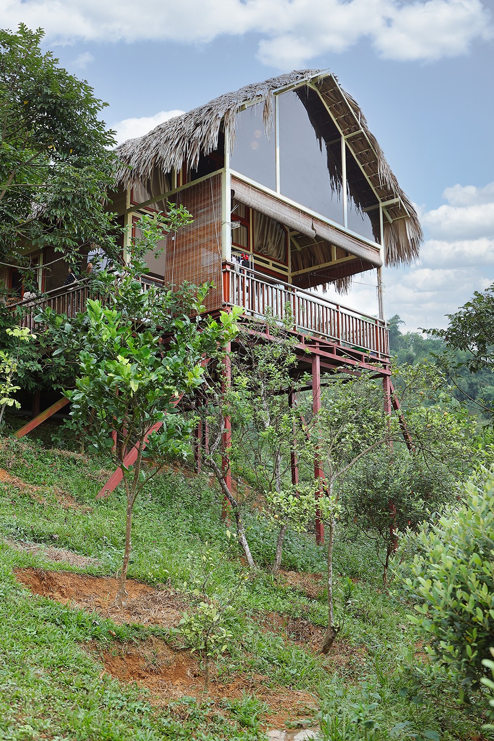 Ngôi nhà gỗ được gia đình Việt Hoàn làm nơi sinh hoạt chính ở vị trí cao nhất và cũng có diện tích lớn nhất, có tầm nhìn bao quanh cả quả đồi và xung quanh là rất nhiều cây cam, chanh bưởi rừng tạo mùi hương dịu mát