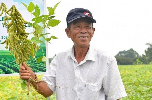 Mạnh tay bỏ một vụ lúa, nông dân Tiền Giang giờ nhàn hơn, thu nhập cao hơn