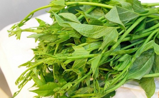 Rau xưa chỉ cho lợn ăn hóa ra là “nữ hoàng rau”, nấu canh ăn đại bổ, chống được cả ung thư