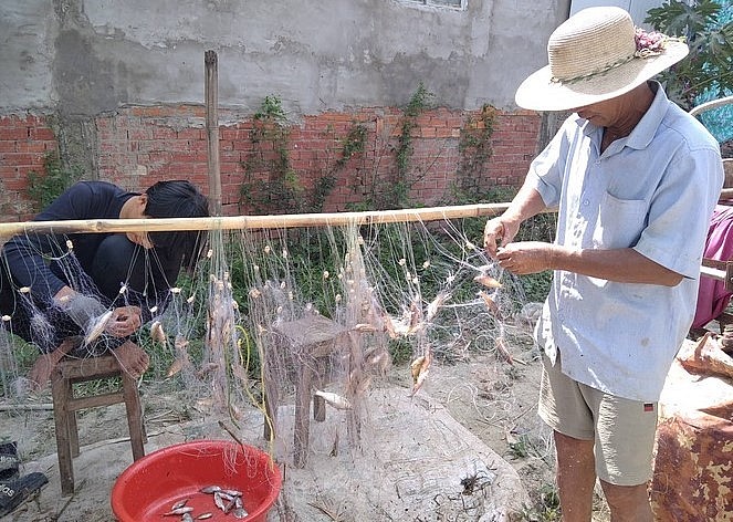 Mùa lũ rút là mùa người dân vùng lũ huyện Tam Nông (Đồng Tháp) kiếm được thu nhập tốt nhờ tôm cá dồi dào.