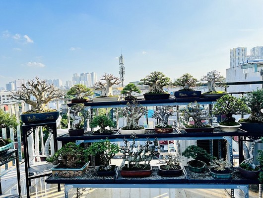 “Nhức mắt” với vườn cây bonsai mini tiền tỷ trên sân thượng của “hot boy” Hà thành