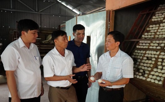 Lão nông Bắc Giang chia sẻ bí quyết thu 1,5 tỷ đồng/năm từ nuôi vịt