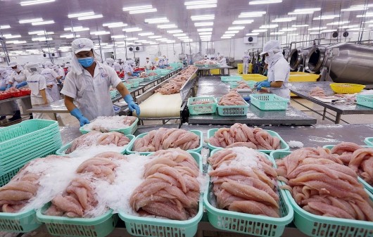Thủy sản Việt Nam đón nhận tin cực vui: Lần đầu tiên xuất khẩu cán mốc 10 tỷ USD