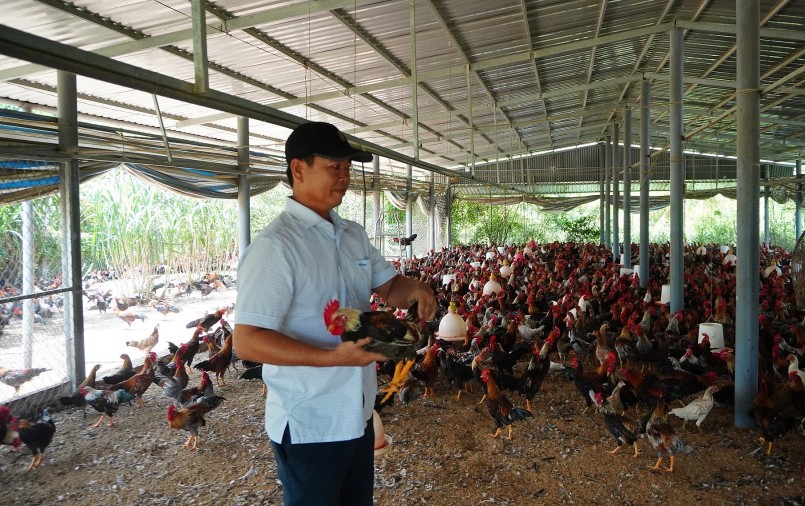 Anh Dương Thanh Bình sở hữu cơ ngơi trăm tỷ từ hệ thống trang trại nuôi gà.