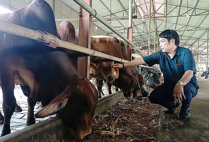 tỷ phú nuôi bò Trần Văn Thắng 