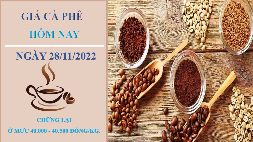 Giá cà phê hôm nay 28/11/2022: Yếu tố nào quyết định giá cà phê tháng 12/2022?