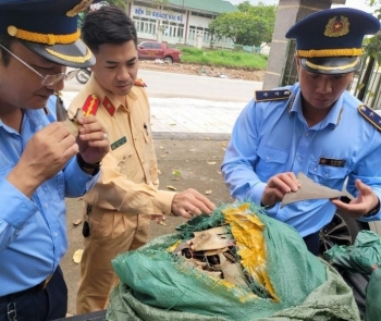 Quảng Ninh tạm giữ 30kg vây cá mập không rõ nguồn gốc xuất xứ