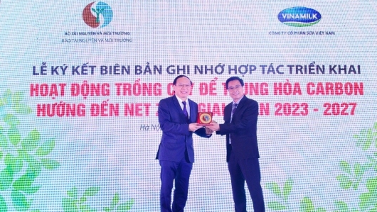Góp phần cùng Chính phủ thực hiện mục tiêu Net Zero 2050, Vinamilk tiếp tục hành trình trồng cây xanh