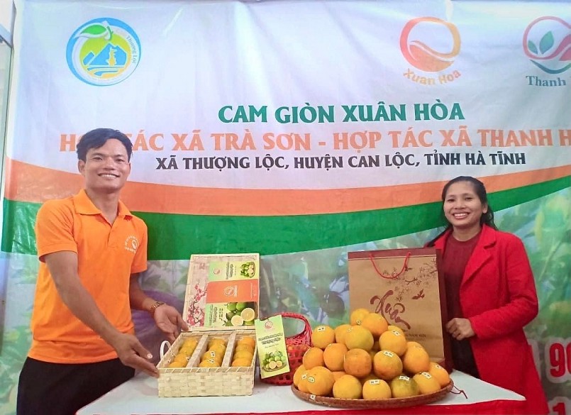 Cam Thượng Lộc được công nhận là sản phẩm OCOP của tỉnh Hà Tĩnh