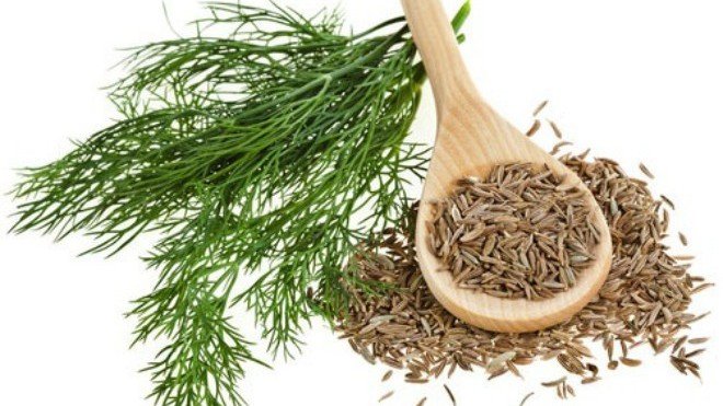 Bỏ túi công dụng chữa bệnh tuyệt vời của cây thì là
