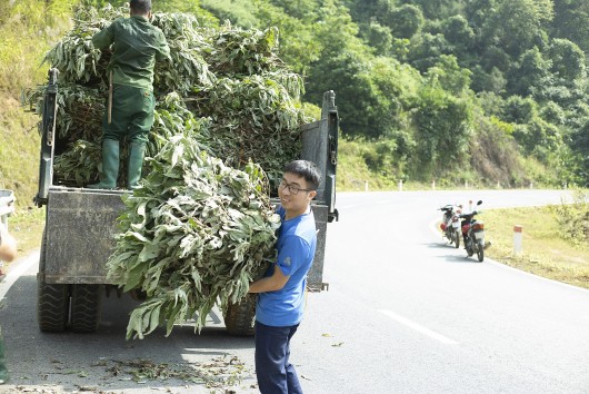 Chiết xuất tinh dầu từ cây dại, chàng trai người Tày bỏ túi tiền tỷ mỗi năm