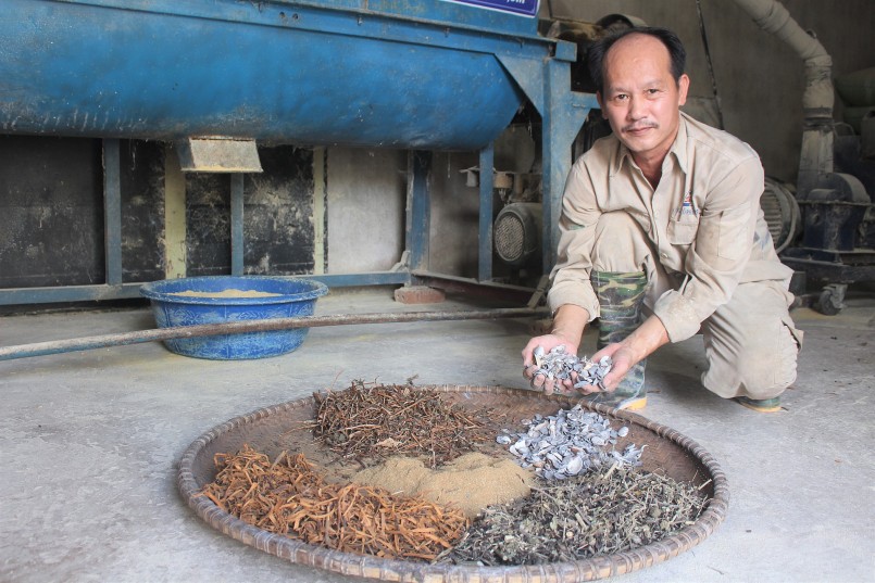 Anh Nguyễn Văn Thục giới thiệu một số loại thảo dược mà trang trại đang sử dụng