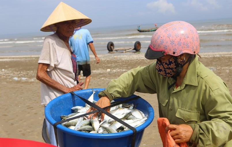 Cá được đưa lên bờ bán cho thương lái hoặc người dân tự mang ra chợ để bán kiếm thêm thu nhập.