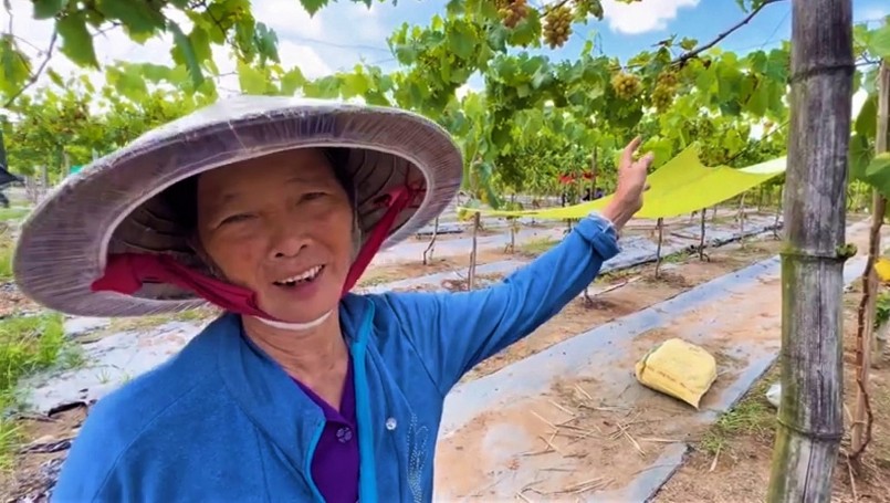 Bà Lê Thị Lánh, chủ vườn nho móng tay rộng hơn 2.000 m2.