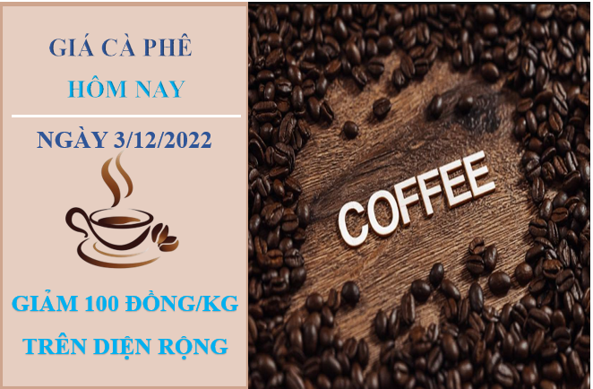 Giá cà phê hôm nay 3/12/2022: Dứt chuỗi tăng, giảm nhẹ 100 đồng/kg