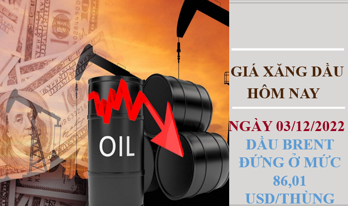 Giá xăng dầu hôm nay 3/12/2022: Giá dầu thô bất ngờ quay đầu giảm mạnh