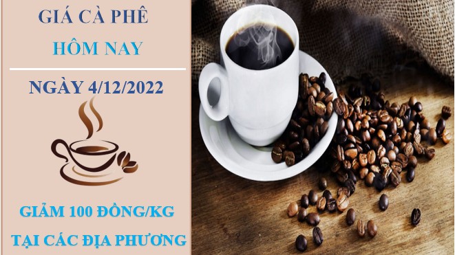 Giá cà phê hôm nay 4/12/2022: Tăng 2 tuần liên tiếp, trong nước thêm 500 đồng/kg/tuần