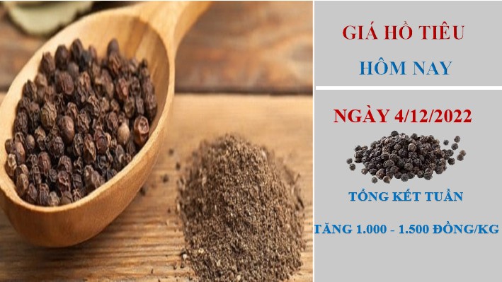 Giá hồ tiêu hôm nay 4/12/2022: Tăng 1.000 - 1.500 đồng/kg trong tuần