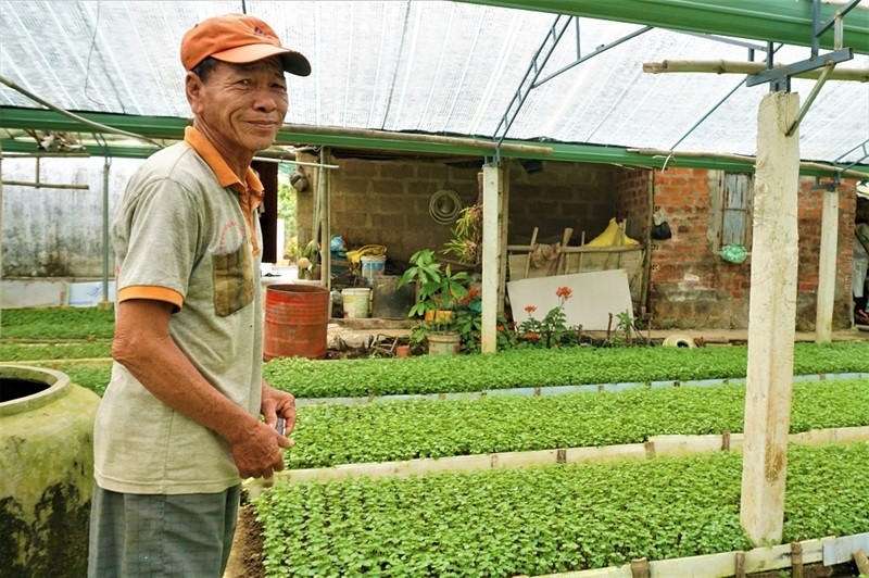 Ông Võ Bé đã đầu tư hàng trăm triệu đồng để trồng loại rau càng cua