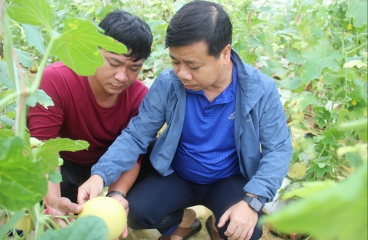 Ném tiền tỷ xuống vùng đất trũng lập Trang trại Đồi Chồi thỏa ước mơ nông nghiệp sạch