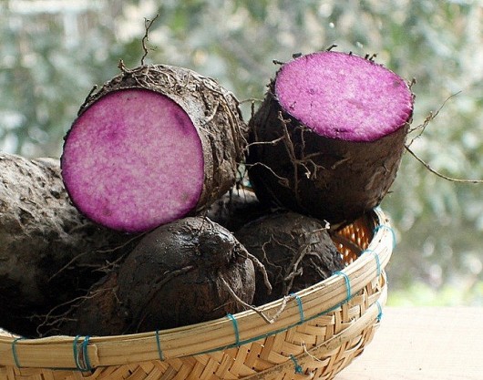 Củ xưa chỉ nhà nghèo mới ăn, nay đem chế biến thành nhiều món khiến nhà giàu cũng mê