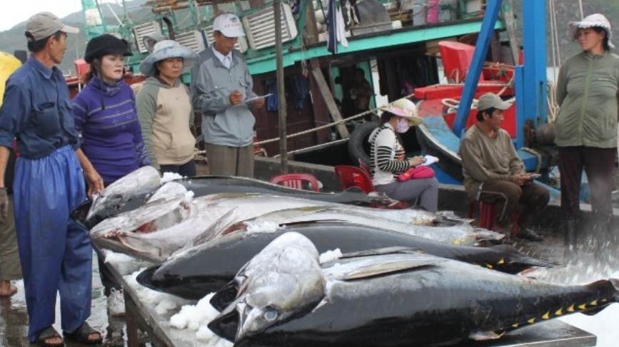 Xuất khẩu cá ngừ sang Ai Cập có nhiều biến động
