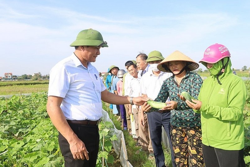Hội thảo đầu bờ về cây dưa chuột vụ đông 2022 trên cánh đồng làng Phan.