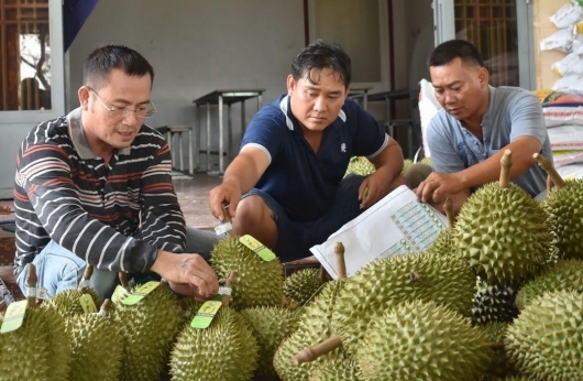 Siết nhập khẩu, Trung Quốc yêu cầu ký lại nghị định thư 7 loại trái cây của Việt Nam