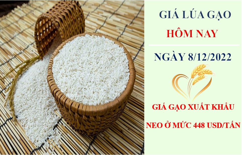 Giá lúa gạo hôm nay 8/12/2022: Giá gạo xuất khẩu neo ở mức 448 USD/tấn