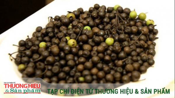 Có những loại món ăn nào có thể sử dụng cây sả rừng làm thành phần chính?
