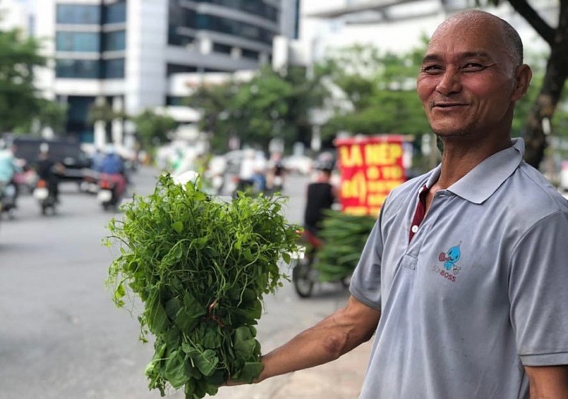 Loại rau rừng đặc sản có tên rau bò khai này xuất hiện nhiều và đang gây 'sốt' ở Hà Nội