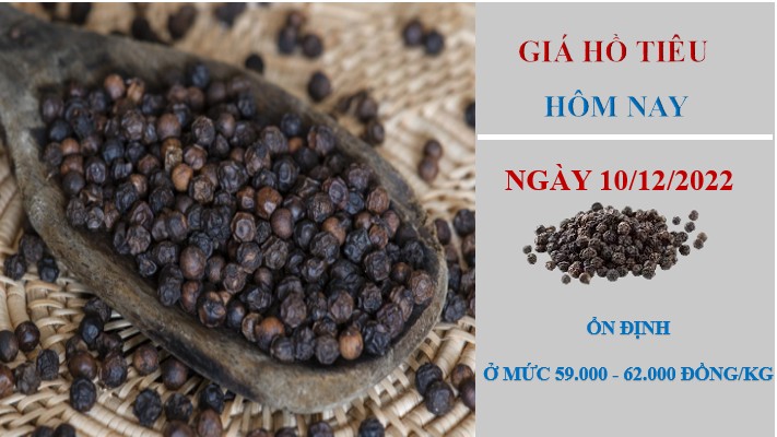 Giá hồ tiêu hôm nay 10/12/2022: Không ghi nhận điều chỉnh mới