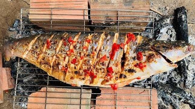 Loài cá xưa đầy không ai ăn, giờ thành đặc sản khan hiếm, được bán với giá 1.500.000 đồng/kg