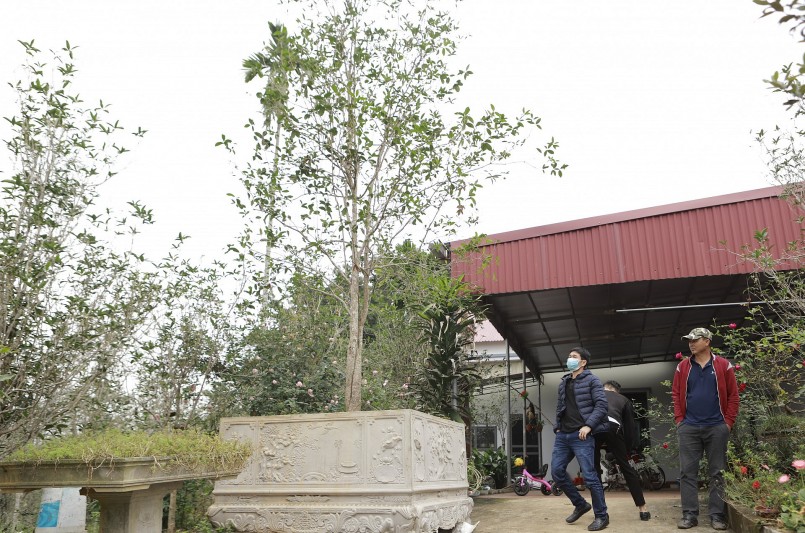 Để tạo sức hút giới chơi cây đến với 'thủ phủ'mộc hương khủng ở Hà Nội, các nhà vườn đã kỹ công sưu tập những dáng cây độc lạ. 
