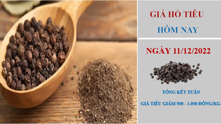 Giá hồ tiêu hôm nay 11/12/2022: Xuất khẩu sang Trung Quốc giảm tới 50% từ đầu năm