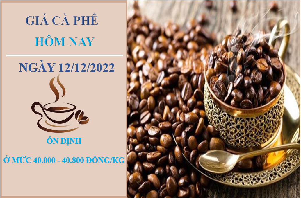 Giá cà phê hôm nay 12/12/2022: Không ghi nhận thay đổi mới
