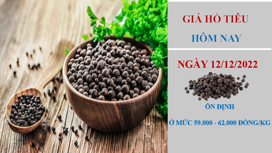 Giá hồ tiêu hôm nay 12/12/2022: Không ghi nhận biến động mới