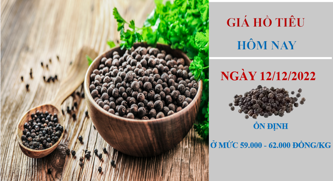 Giá hồ tiêu hôm nay 12/12/2022: Không ghi nhận biến động mới