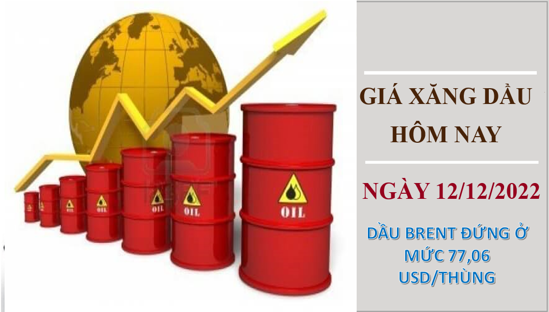 Giá xăng dầu hôm nay 12/12/2022: Giá dầu thô quay đầu tăng mạnh